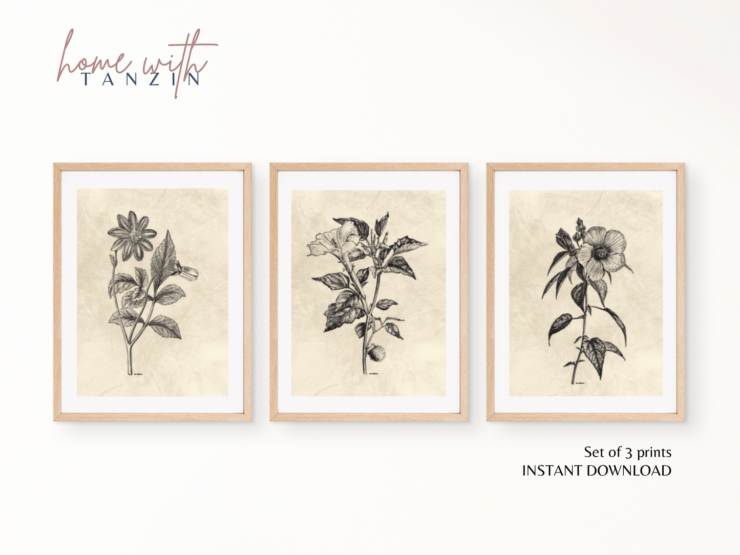 Vintage Floral Art Print -  Light Beige - Set of 3