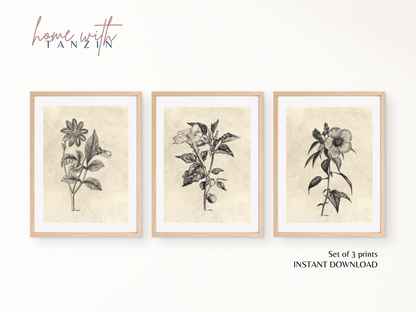 Vintage Floral Art Print -  Light Beige - Set of 3