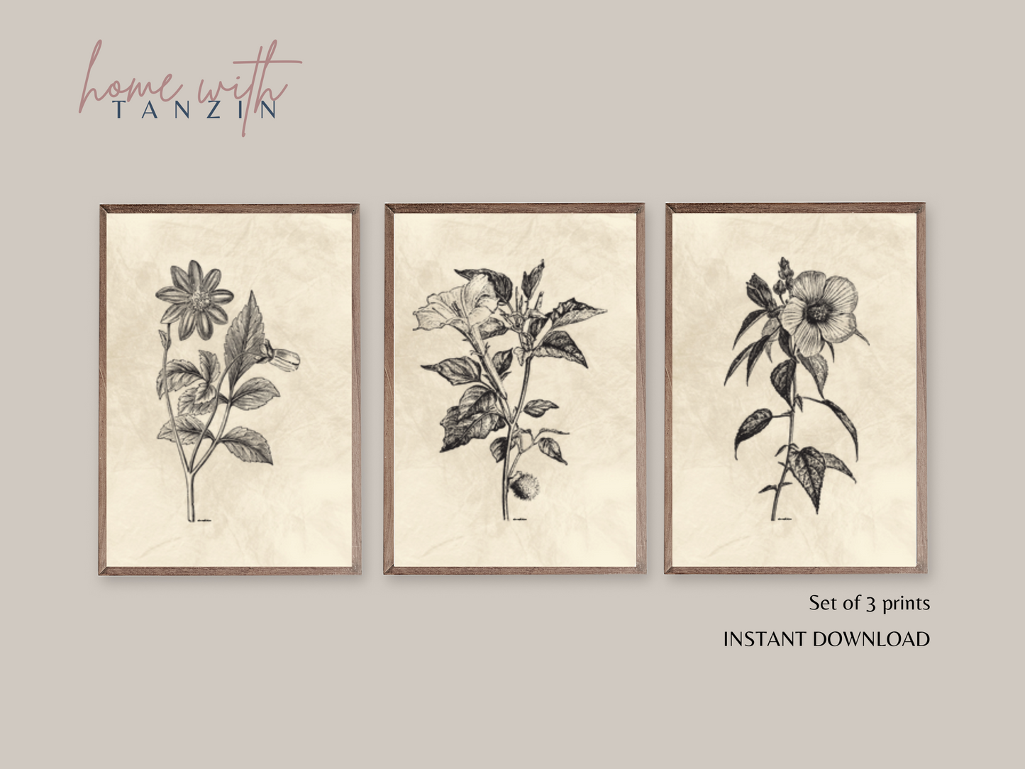 Vintage Floral Art Print -  Light Beige - Set of 3