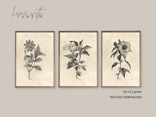 Vintage Floral Art Print -  Light Beige - Set of 3