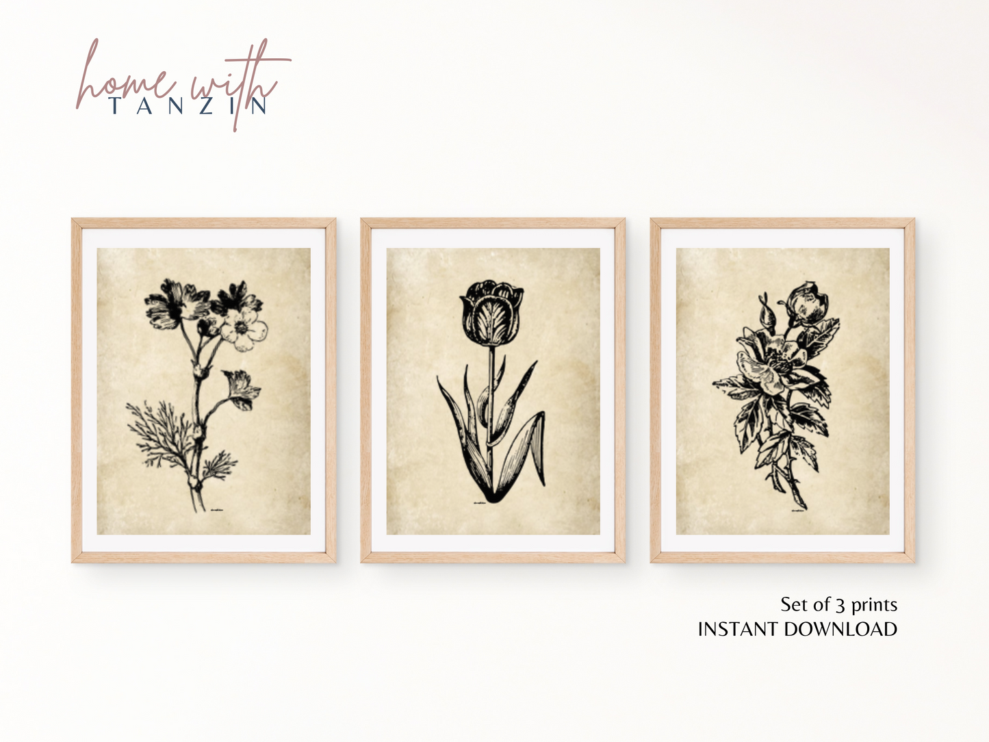 Vintage Floral Art Print -  Dark Beige - Set of 3