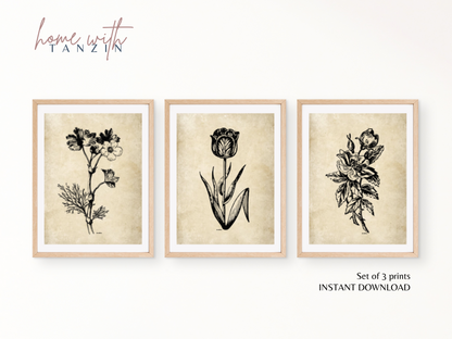 Vintage Floral Art Print -  Dark Beige - Set of 3