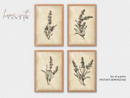Vintage Floral Art Print -  Dark Beige - Set of 4
